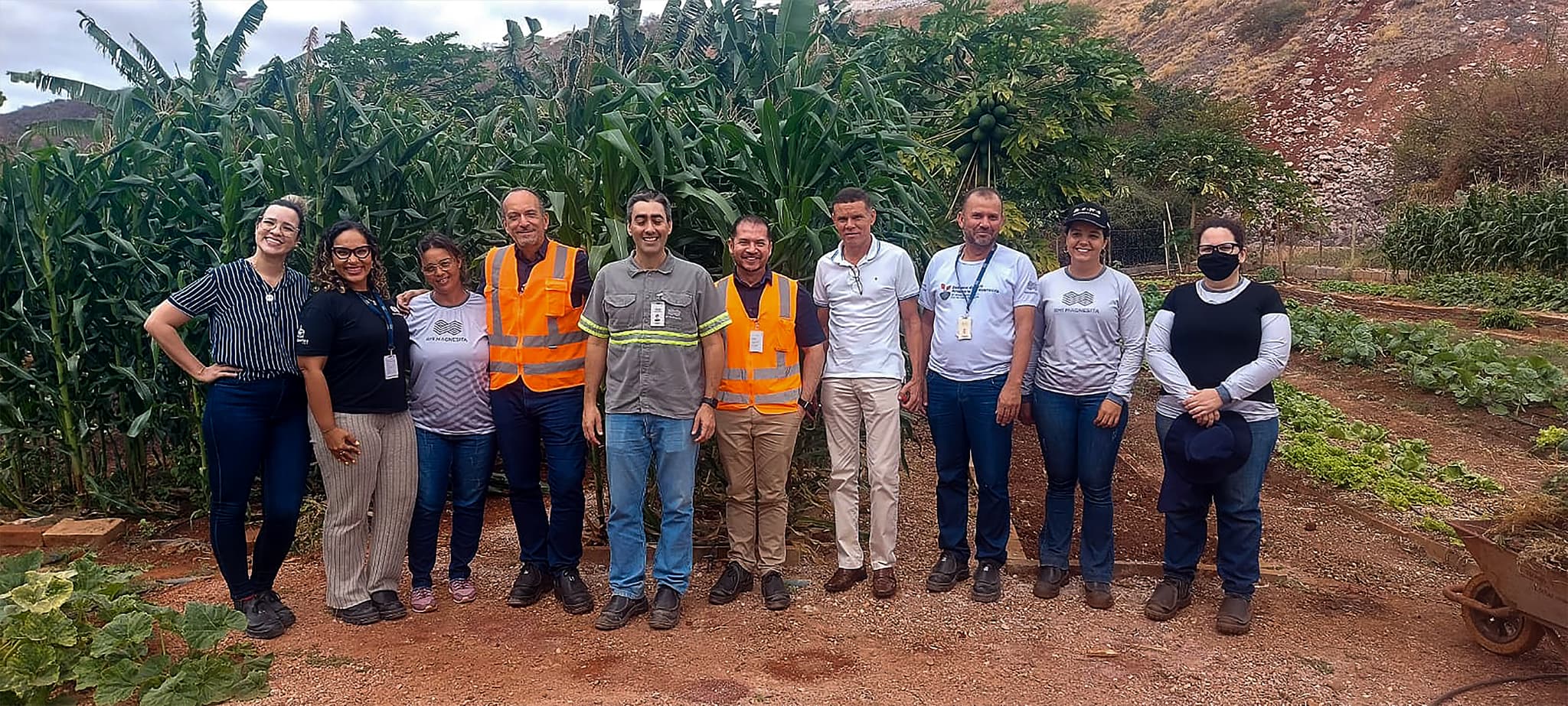 RHI Magnesita revegeta Caatinga com espécies nativas