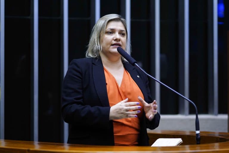 Câmara dos Deputados realiza audiência pública para debater reestruturação