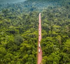ICMM lança guia de boas práticas visando perda líquida zero de Biodiversidade