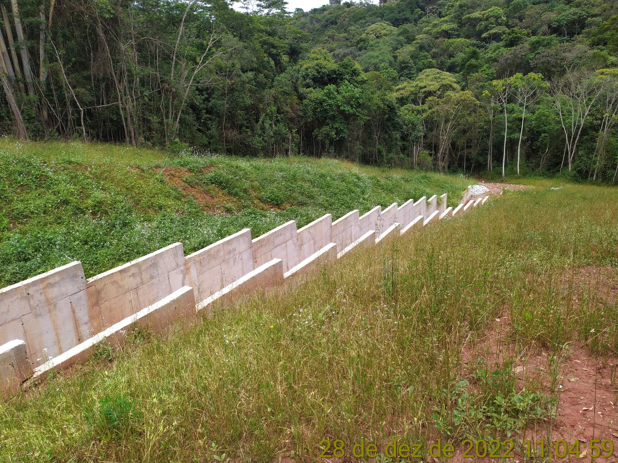 100 mil m² revegetados até o final de 2023