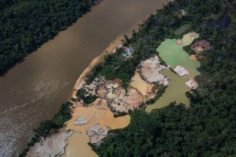 Cimi pede desmonte da cadeia do garimpo ilegal