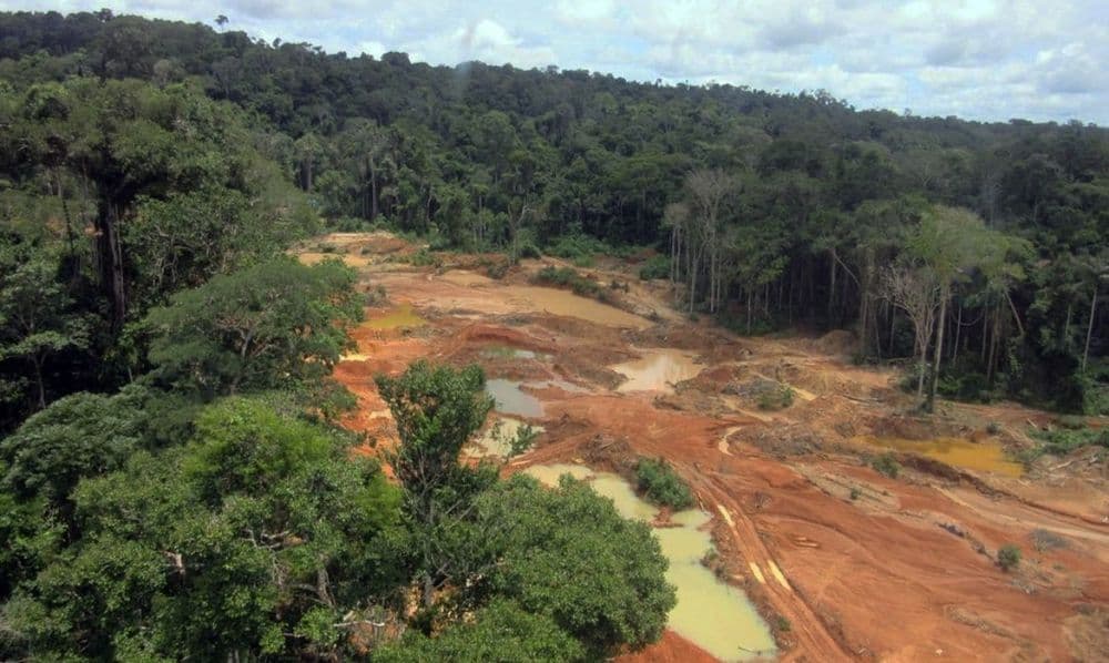 Garimpo ilegal cresce mais de 1.200% em 35 anos