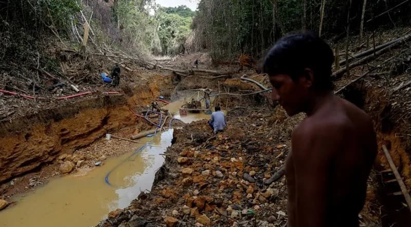IAB rejeita PL que permite exploração