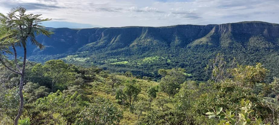 Nova empresa quer restaurar e proteger 4 milhões de hectares