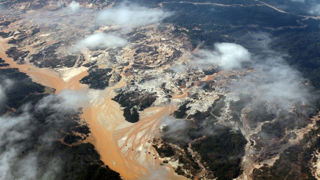 Produção ilegal na Amazônia cresce 25% em 2021