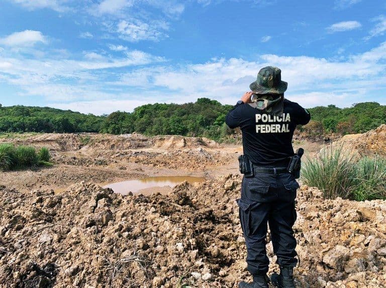 Operação combate desmatamento e garimpo ilegal