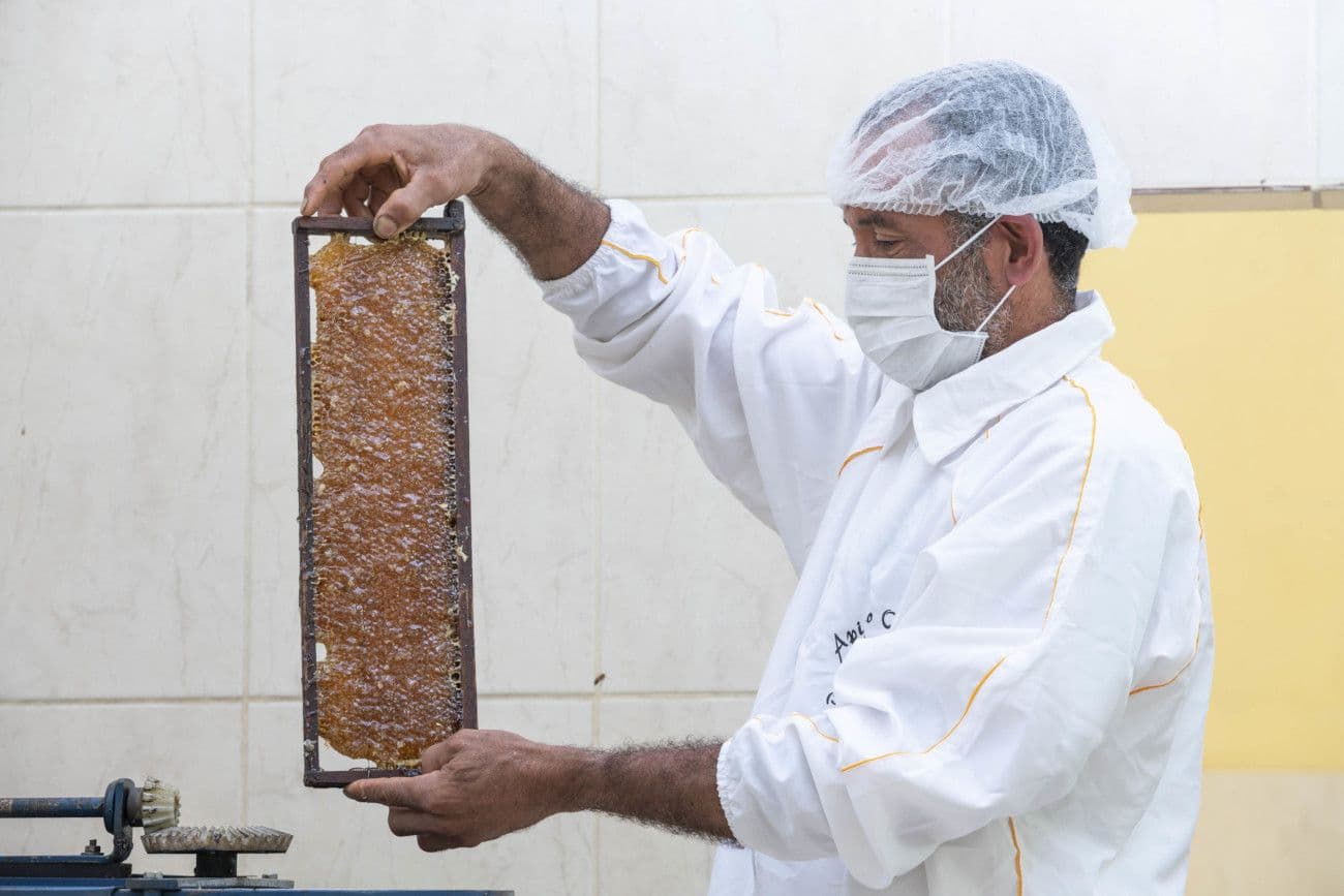 Inscrições para 2º ciclo do Programa Crescer