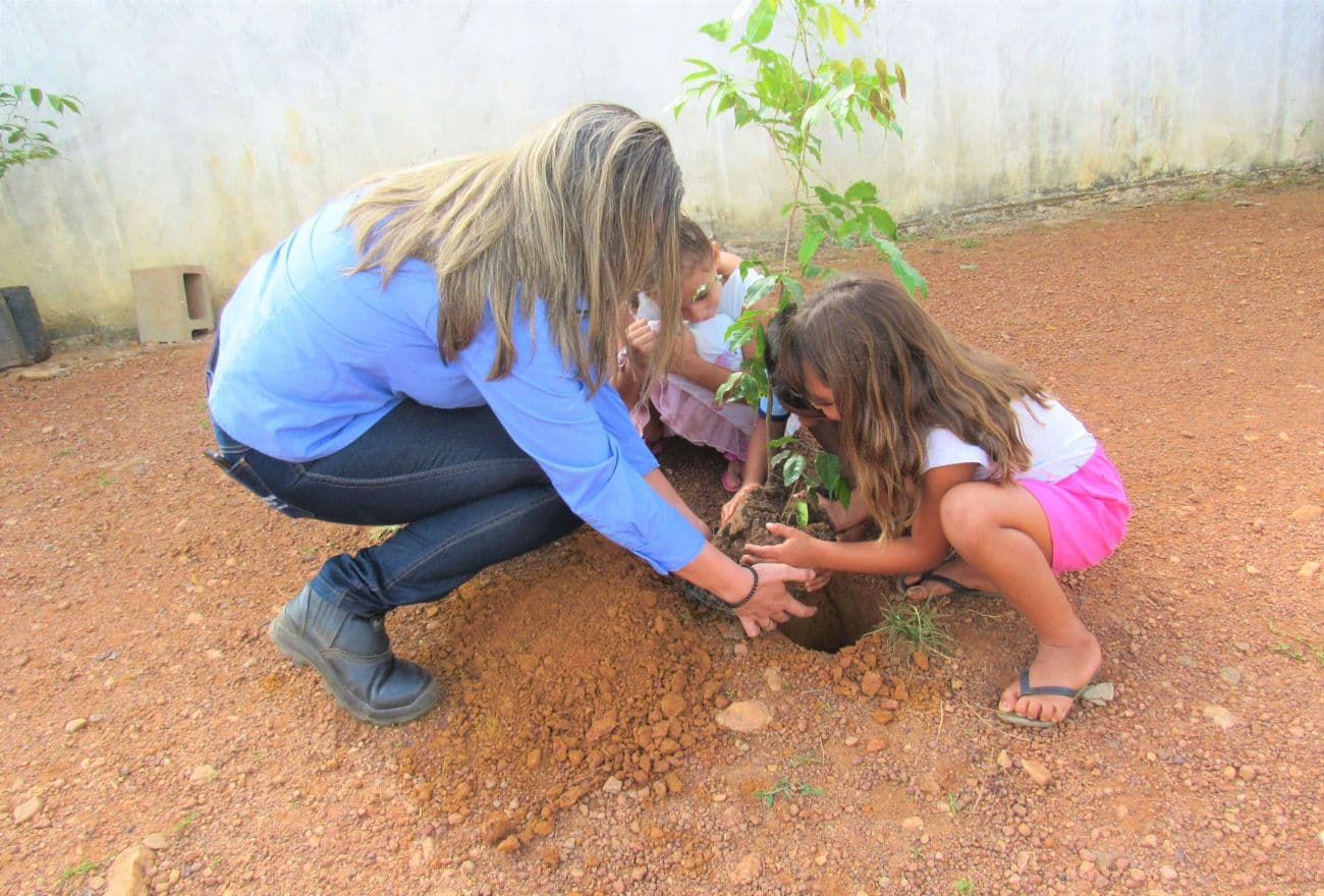 Nova etapa do ArBorize em Marabá