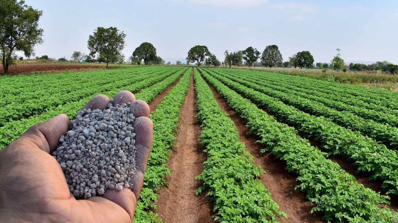 Inovação passa por bio e nanotecnologia