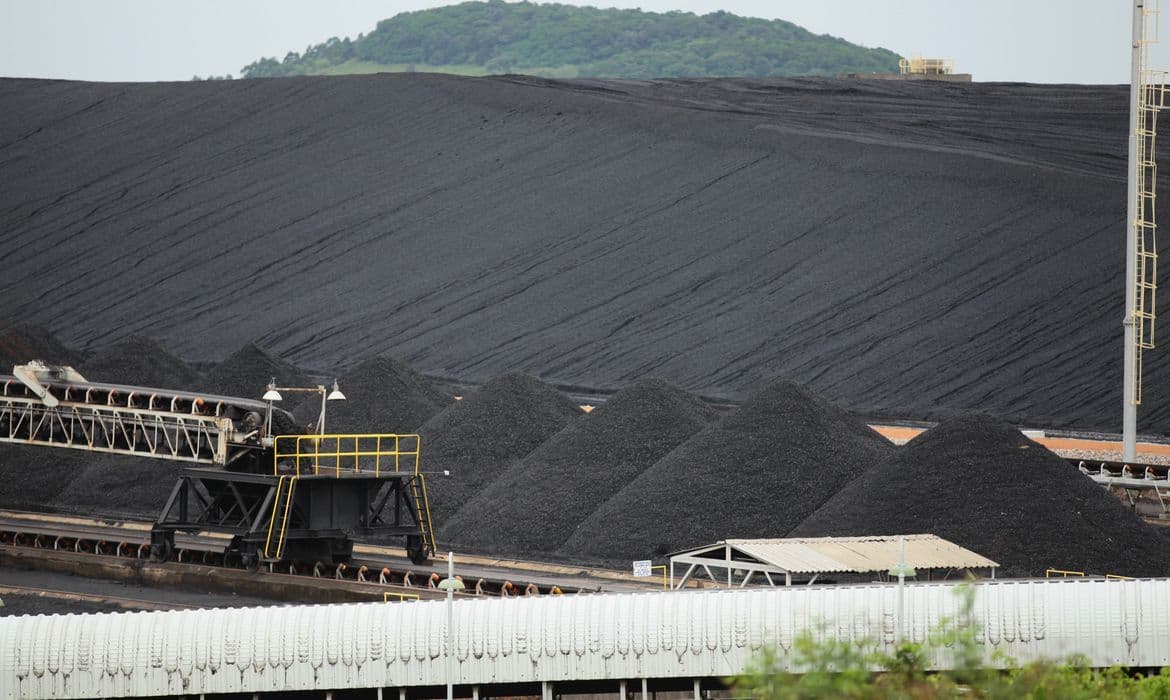 Setor pode produzir amônia e ureia