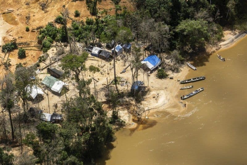 Estudo mostra que grandes mineradoras ainda atuam na Amazônia