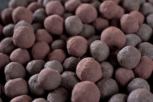Vale utiliza biocarvão em teste na pelotização