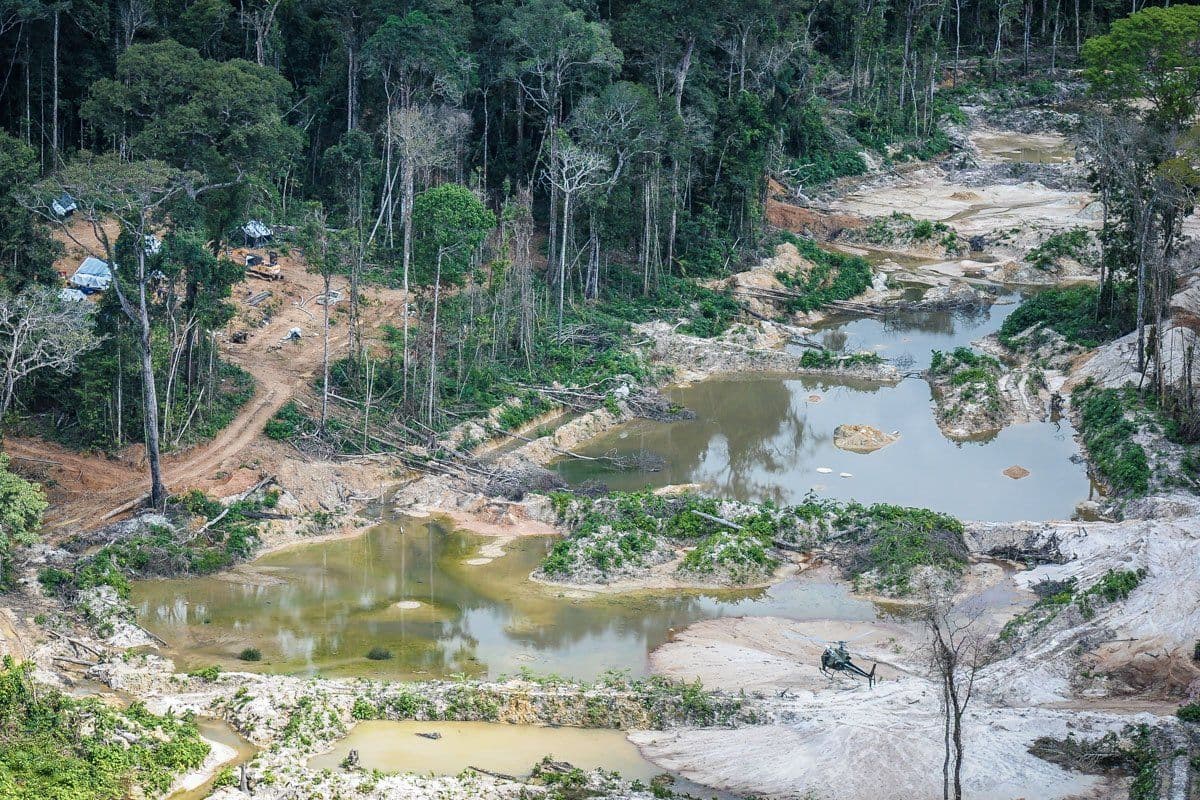 MPF quer suspensão de extração no Pará