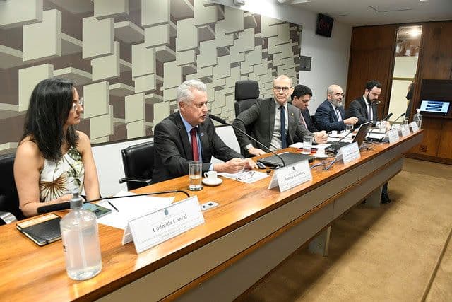 A proposta do governo para o mercado de carbono