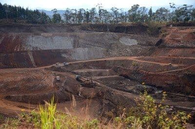 MPF condena Coogal por crimes ambientais no Amapá