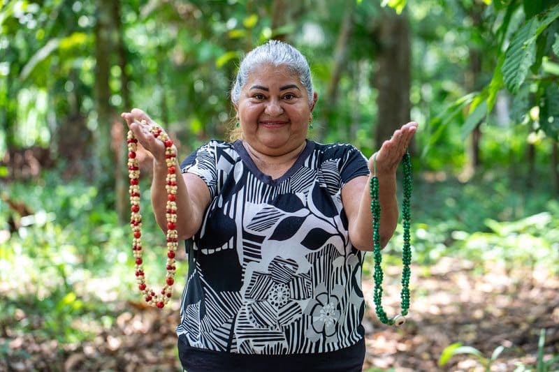 Fundo Hydro vai destinar mais R$ 40 milhões à Amazônia até 2029