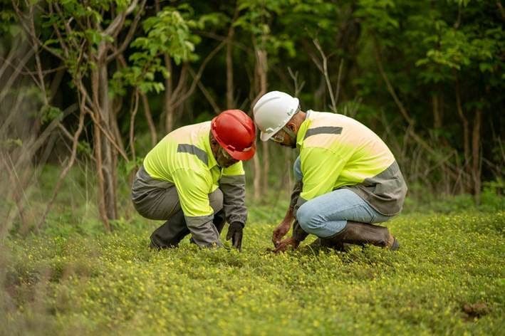Galvani desenvolve projetos para recuperação ambiental da Caatinga