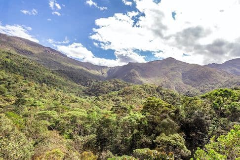 Samarco preserva 16 mil hectares em biodiversidade em MG e ES